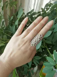 在飛比找Yahoo!奇摩拍賣優惠-時尚戒指，銀鑲碎鉆，戒指內徑約1.6cm，花紋精美，手機拍攝