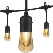 Enbright 12 Bulb 24 ft. Outdoor/Indoor Black Vintage LED String Lights Acrylic