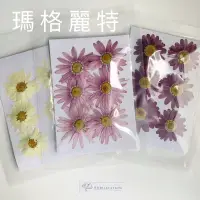 在飛比找蝦皮購物優惠-滿百出貨 壓花/乾燥花/美甲材料-瑪格麗特