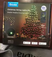 NEW Govee 66ft LED Bluetooth RGB YARD decorate party smart String Lights Alexa