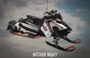 Polaris 800 Switchback Pro X Snowmobile Christmas Ornament 1/16 RMK Indy Titan