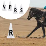 4 Pieces Dressage Cones Letters Training Cones