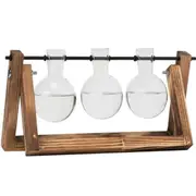 Glass Bulb Vase Flask Planter Wooden Stand Air Plants Water Propagation Indoor