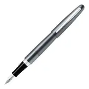 Pilot Cocoon Fountain Pen Titanium M Nib Stainless Steel FCO3SRMGYM