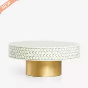 Zohi Interiors Bone Inlay Egypt Coffee Table in Moss