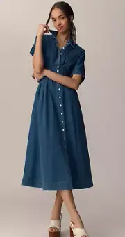 The Tobie Button-Front Pleated Shirt Dress by Exquise: Denim Edition