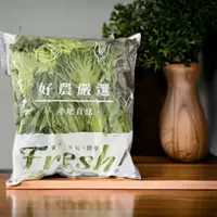 在飛比找台灣好農優惠-【統苣有機農場】有機綜合生菜組 300g*9包 贈送以色列小