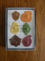 Set 6: Williams Sonoma Harvest / Fall Cookie/Pie Crust Cutters, Apple, Pear -New