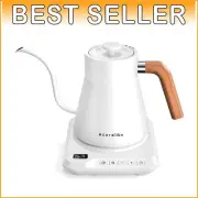Premium Stainless Steel Electric Kettle with OLED Display for Perfect Brewing