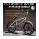 [I.H BMX] KINK KICKER 18吋 BMX 整車 初學者專業車款 街道車/特技腳踏車/地板車/單速車