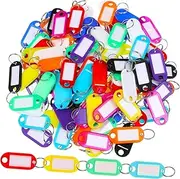 COHEALI 150 Pcs Key Labels with Split Rings Key Tags Fobs for Luggage Pet Name Tags Memory Sticks for Easy Identification and Organization