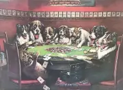 C M Coolidge Poker Sympathy Vintage Dog Art Digital Print 16X12 *PRINT ONLY* :E