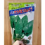 城禾農產🍃 日本沙拉菠菜種子 35克 約3400粒 日本沙拉菠菜種子 沙拉菠菜種子 沙拉波菜種子 菠菜種子 波菜種子
