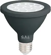 (2 Pack) G.A.L 12W LED Globe PAR30 E27-240V - 6500K - IP65 - Black