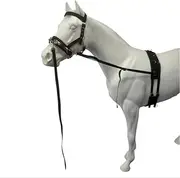 Horse Training Lunge Kit 6 Piece One Size Fits All