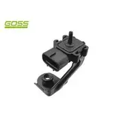 RAE MAP Sensor - MP125