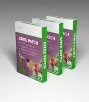 Knee Pain Relief Balm Patches Wormwood - 3 Pks 36pcs - 10x13cm Plaster GeesenPas