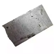 1041g Muonionalusta meteorite part slice QC658