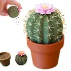Mini Cute Cactus Seasoning Shaker Salt and Pepper Grinder Set BBQ Tools