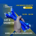 大海龜DIY電子服務器 LAN 電纜包含 10 件 GIGABYTE COMMSCOPE CAT 6⭐