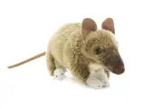 Bocchetta Plush Toys Bert Bandicoot Australian Native Animal