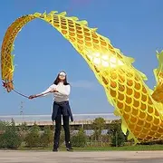 MIXXON Gym Rainbow Dragon Poi Ribbon with Dragon Streamers and Colorful Scale Ribbon Dancer, Dragon Poi Dance for Various Uses Like Gymnastics, Exercise, Park Play,A,8m(26.2ft)