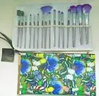 MAKE-UP BRUSH SET w/GOOD QUALITY COSMETIC BAG & BRUSH CASE
