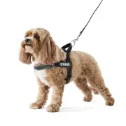 Pet Customisable Harness - Medium