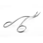 Stainless Steel Scissors Tip Student Craft Scissors Pet Grooming Trimmer