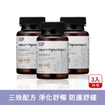 【HERBMAX 大荷生研】清新療肺草膠囊3入 30粒/瓶(聚葡萄糖、療肺草、百里香萃取)