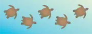 Joanie Turtle Border Stencil Go With Flow Marine Ocean Sea Swim DIY Craft Signs