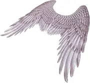 Halloween Wings Halloween Costumes for Adults Angel Bird Wings Adult Women Non Woven Cosplay Wings Cosplay Supplies Pretend Wings Halloween Costume Accessory Black Non-woven Fabric LIFKOME