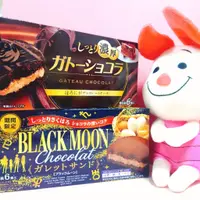 在飛比找蝦皮購物優惠-《紅毛丹狗》日本 森永 可可蛋糕 巧克力蛋糕 濃厚可可 濃厚