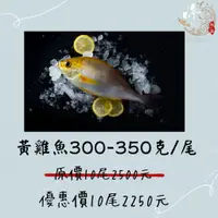 在飛比找蝦皮購物優惠-【優惠下殺🔥】黃雞魚