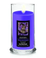 Courtside Market Halloween Collection Eat, Drink, & Be Scary Witch'S Brew Cranberry Soy Wax Candle