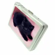 Vintage Black Kitten Pink Cigarette Case with Built in Lighter Metal Wallet