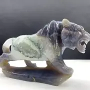 A++ 1PC Natural Agate Geode Quartz Carved Tiger Skull Crystal Reiki Gem