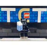 在飛比找蝦皮購物優惠-【TCT】LEGO 樂高 MARVEL DC SH243 7