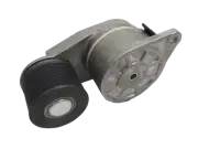 Dayco 29648A90 Tensioner Goliath