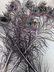 12pcs Peacock Feather Natural in Bulk 10-12Inch