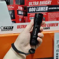 在飛比找蝦皮購物優惠-好市多 Feit LED 小 手電筒 單隻分售(3*11.4