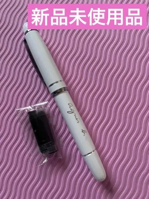 Agnès Bey fountain pen ink set pen #341bd8