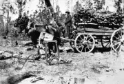 Cobden District Victoria 1930 - A man with a wagon load of wood. T- Old Photo