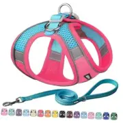 Comfortable Dog Harness and Leash Set for Walking - Spring Step in Vest