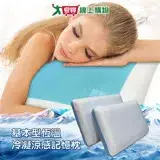 在飛比找遠傳friDay購物優惠-Victoria 基本型恆溫冷凝涼感記憶枕 2顆