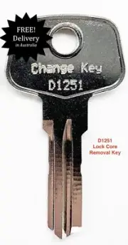 Thule Universal Change Key-Lock Core Removal Key D1251-FREE POST