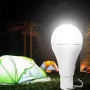 Solar Light Bulb Rechargeable Lighting Emergency Light for Walkway Home Path