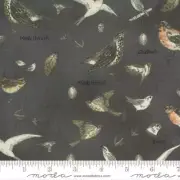 Botanicals 16910-14 Moda Fabrics Birds In Nature Graphite Janet Clare