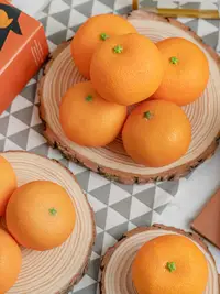 在飛比找松果購物優惠-仿真水果模型加重橘子果蔬食物早教玩具裝飾道具拍攝擺件 (0.