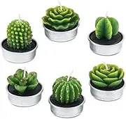 AMASKY Cactus Tealight Candles, Handmade Delicate Succulent Cactus Candles for Valentine's Day Birthday Party Wedding Spa Home Decoration(6 Packs)